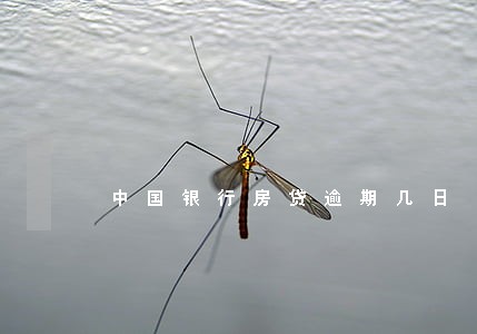 中国银行房贷逾期几日 中国银行房贷逾期几日