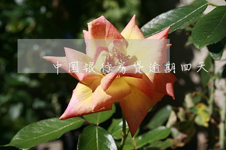 中国银行房贷逾期四天 中国银行房贷逾期四天