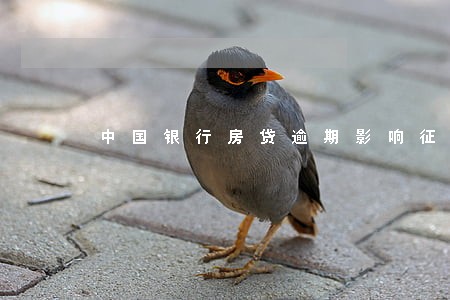 中国银行房贷逾期影响征信吗 中国银行房贷逾期影响征信吗