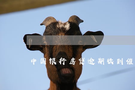 中国银行房贷逾期收到催收函 中国银行房贷逾期收到催收函