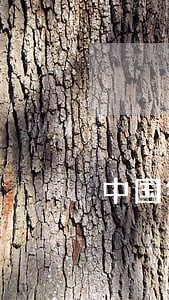 中国银行房贷逾期还款期限 中国银行房贷逾期还款期限