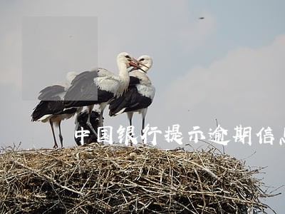 中国银行提示逾期信息 中国银行提示逾期信息