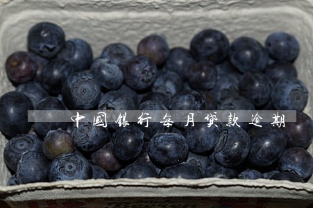 中国银行每月贷款逾期 中国银行每月贷款逾期