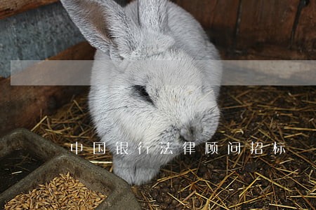 中国银行法律顾问招标 中国银行法律顾问招标