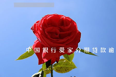 中国银行爱家分期贷款逾期l 中国银行爱家分期贷款逾期l