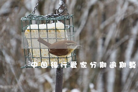中国银行爱家分期逾期算信用卡吗