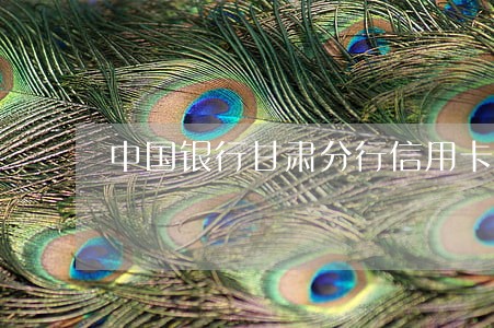 中国银行甘肃分行信用卡逾期