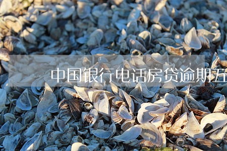 中国银行电话房贷逾期五天 中国银行电话房贷逾期五天