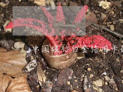 中国银行白金信用卡逾期两个月 中国银行白金信用卡逾期两个月