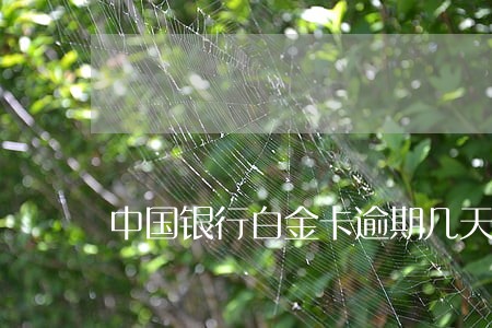 中国银行白金卡逾期几天上征信 中国银行白金卡逾期几天上征信