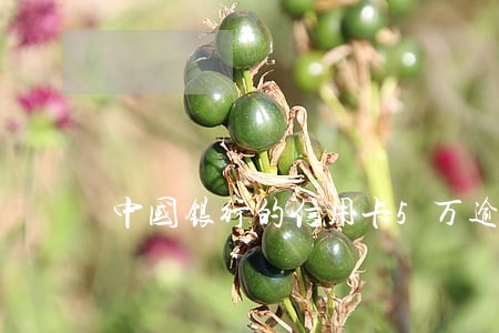 中国银行的信用卡5万逾期半年了 中国银行的信用卡5万逾期半年了