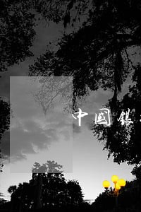 中国银行的信用卡逾期几天上征信 中国银行的信用卡逾期几天上征信