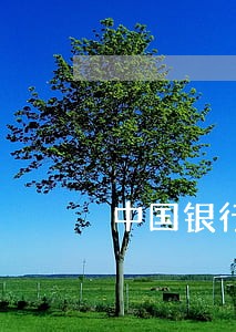 中国银行的信用卡逾期利息怎样 中国银行的信用卡逾期利息怎样