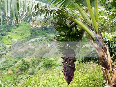 中国银行芜湖分行法律顾问 中国银行芜湖分行法律顾问