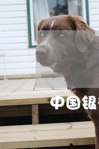 中国银行贷款还款逾期一天