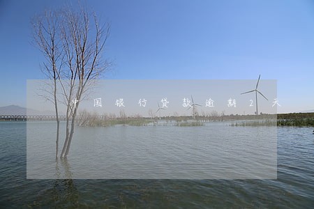 中国银行贷款逾期2天 中国银行贷款逾期2天