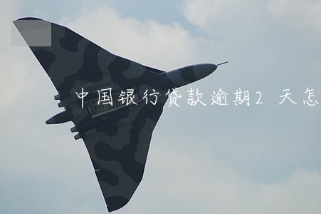中国银行贷款逾期2天怎么办 中国银行贷款逾期2天怎么办