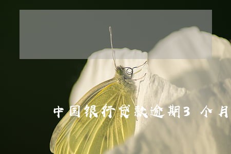 中国银行贷款逾期3个月 中国银行贷款逾期3个月