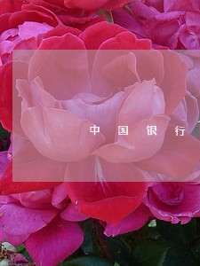 中国银行贷款逾期两天怎么办 中国银行贷款逾期两天怎么办