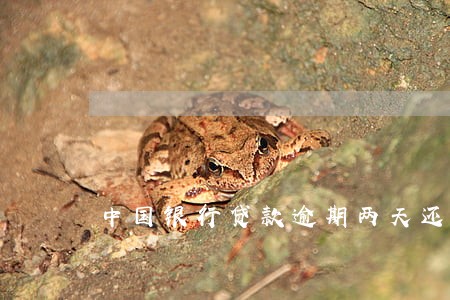 中国银行贷款逾期两天还款 中国银行贷款逾期两天还款