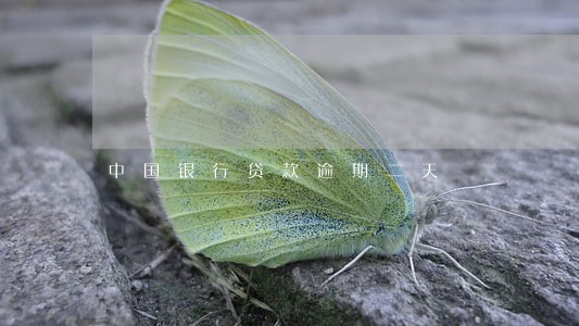 中国银行贷款逾期二天 中国银行贷款逾期二天