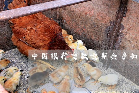 中国银行贷款逾期会多扣钱吗 中国银行贷款逾期会多扣钱吗