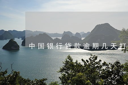 中国银行贷款逾期几天打电话