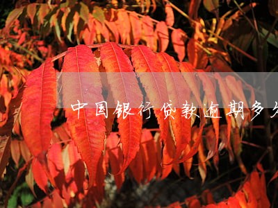 中国银行贷款逾期多久上报 中国银行贷款逾期多久上报