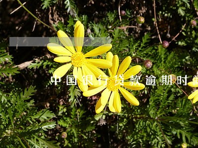 中国银行贷款逾期时间 中国银行贷款逾期时间