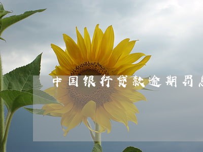 中国银行贷款逾期罚息怎么算 中国银行贷款逾期罚息怎么算