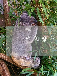 中国银行贷款逾期违约金 中国银行贷款逾期违约金