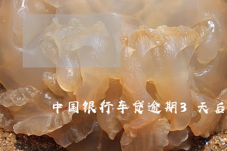 中国银行车贷逾期3天后果严重吗 中国银行车贷逾期3天后果严重吗