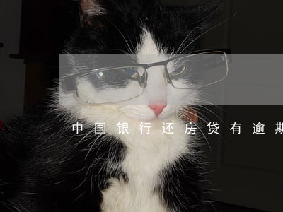 中国银行还房贷有逾期 中国银行还房贷有逾期