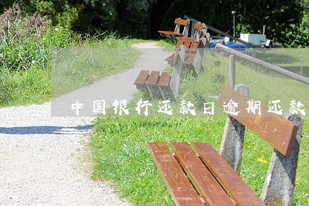 中国银行还款日逾期还款吗 中国银行还款日逾期还款吗