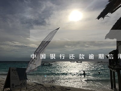 中国银行还款逾期信用记录 中国银行还款逾期信用记录