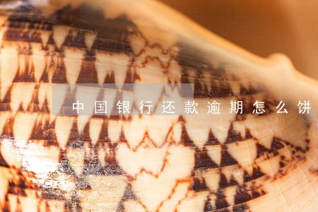 中国银行还款逾期怎么饼 中国银行还款逾期怎么饼