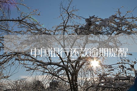 中国银行还款逾期提醒 中国银行还款逾期提醒