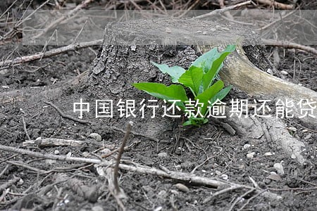 中国银行还款逾期还能贷款吗 中国银行还款逾期还能贷款吗