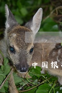 中国银行还贷逾期利息 中国银行还贷逾期利息