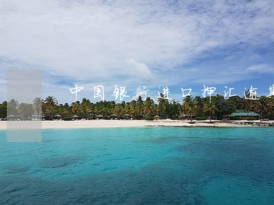中国银行进口押汇逾期处理 中国银行进口押汇逾期处理