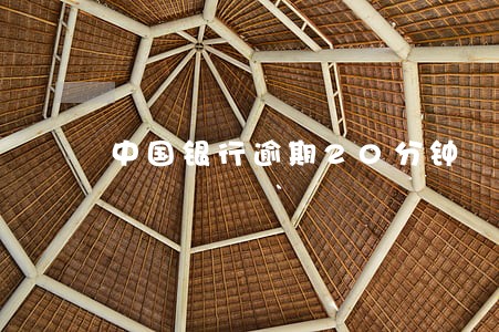 中国银行逾期20分钟