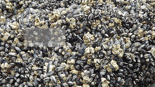 中国银行逾期i 中国银行逾期i