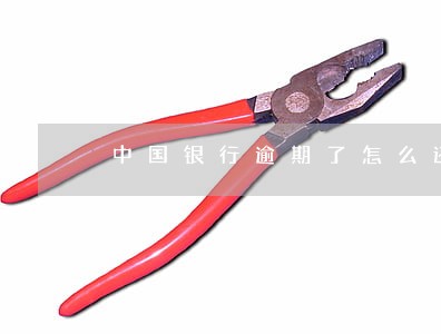 中国银行逾期了怎么还