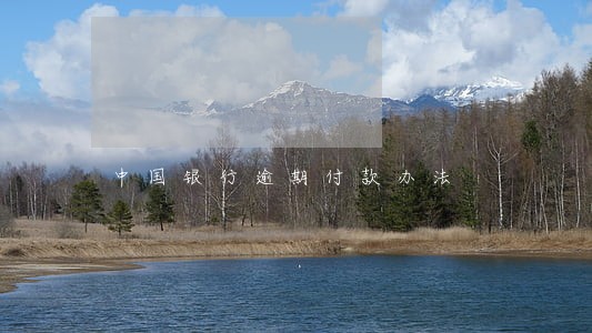 中国银行逾期付款办法 中国银行逾期付款办法