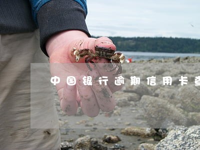中国银行逾期信用卡查询不了
