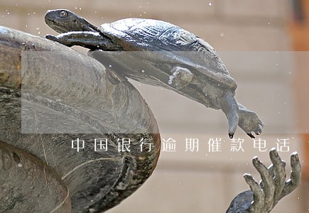 中国银行逾期催款电话 中国银行逾期催款电话