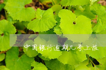中国银行逾期几号上报 中国银行逾期几号上报