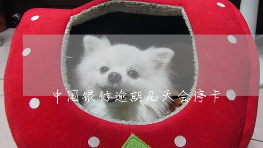 中国银行逾期几天会停卡 中国银行逾期几天会停卡
