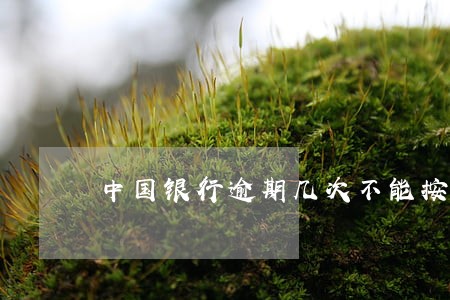 中国银行逾期几次不能按揭 中国银行逾期几次不能按揭