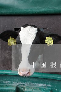 中国银行逾期分期政策